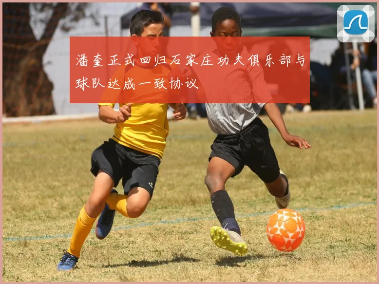 潘奎正式回归石家庄功夫俱乐部与球队达成一致协议